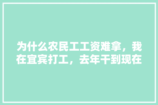 为什么农民工工资难拿，我在宜宾打工，去年干到现在还没拿到，还跟老板闹了都不给我，怎么办，绥江兄弟水果种植基地。 为什么农民工工资难拿，我在宜宾打工，去年干到现在还没拿到，还跟老板闹了都不给我，怎么办，绥江兄弟水果种植基地。 蔬菜种植