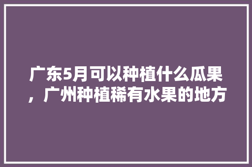 广东5月可以种植什么瓜果，广州种植稀有水果的地方。 土壤施肥