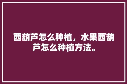 西葫芦怎么种植，水果西葫芦怎么种植方法。 畜牧养殖