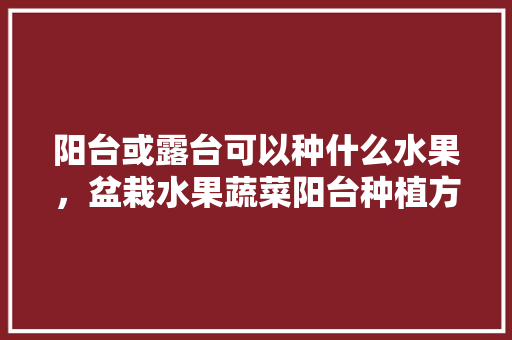 阳台或露台可以种什么水果，盆栽水果蔬菜阳台种植方法。 家禽养殖