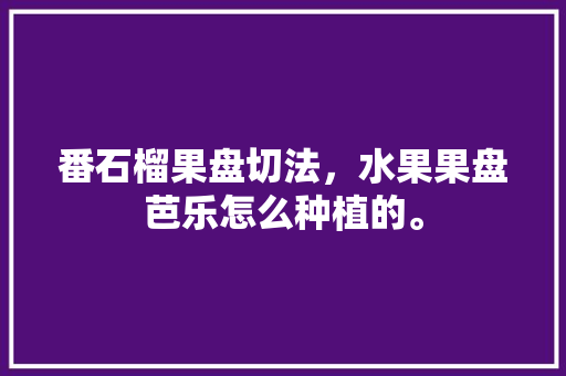 番石榴果盘切法，水果果盘芭乐怎么种植的。 土壤施肥