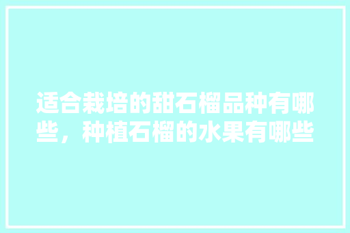 适合栽培的甜石榴品种有哪些，种植石榴的水果有哪些。 蔬菜种植