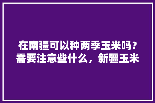 在南疆可以种两季玉米吗？需要注意些什么，新疆玉米种植区域。 蔬菜种植