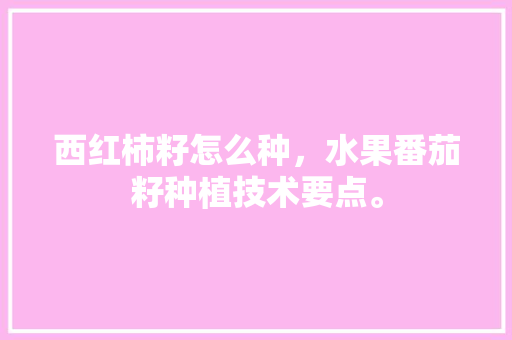 西红柿籽怎么种，水果番茄籽种植技术要点。 家禽养殖