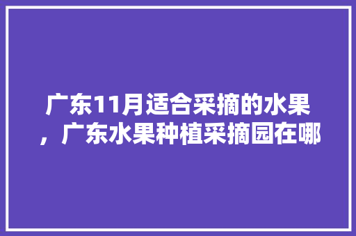 广东11月适合采摘的水果，广东水果种植采摘园在哪里。 水果种植