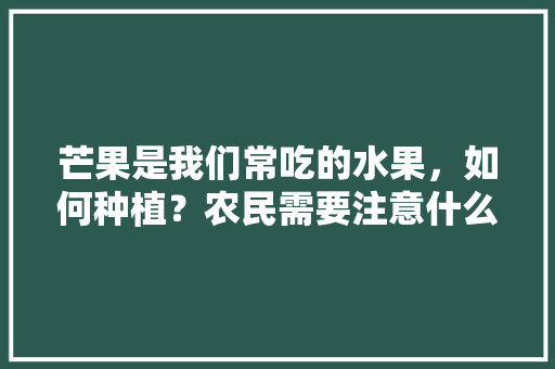 芒果是我们常吃的水果，如何种植？农民需要注意什么，如何种植水果种子。 水果种植