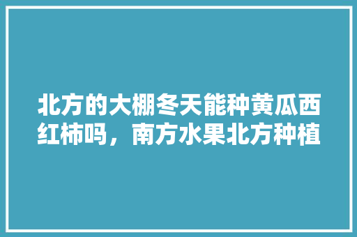 北方的大棚冬天能种黄瓜西红柿吗，南方水果北方种植大棚好吗。 家禽养殖