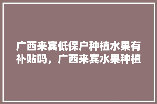 广西来宾低保户种植水果有补贴吗，广西来宾水果种植基地。 畜牧养殖