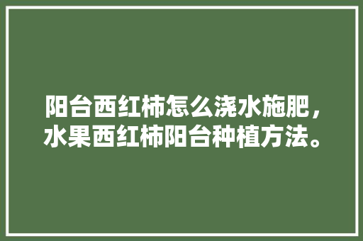 阳台西红柿怎么浇水施肥，水果西红柿阳台种植方法。 蔬菜种植