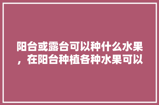 阳台或露台可以种什么水果，在阳台种植各种水果可以吗。 土壤施肥