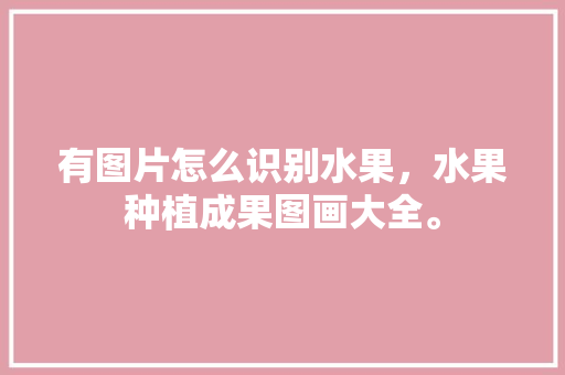 有图片怎么识别水果，水果种植成果图画大全。 家禽养殖