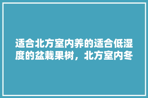 适合北方室内养的适合低湿度的盆栽果树，北方室内冬季种植水果有哪些。 水果种植