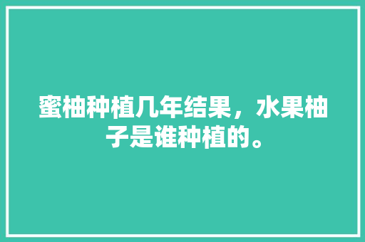 蜜柚种植几年结果，水果柚子是谁种植的。 土壤施肥