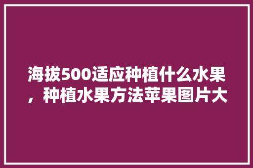 海拔500适应种植什么水果，种植水果方法苹果图片大全。 水果种植