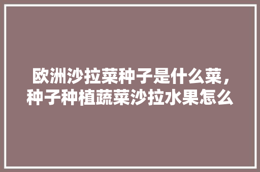 欧洲沙拉菜种子是什么菜，种子种植蔬菜沙拉水果怎么做。 家禽养殖