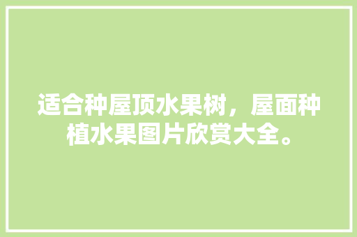 适合种屋顶水果树，屋面种植水果图片欣赏大全。 土壤施肥