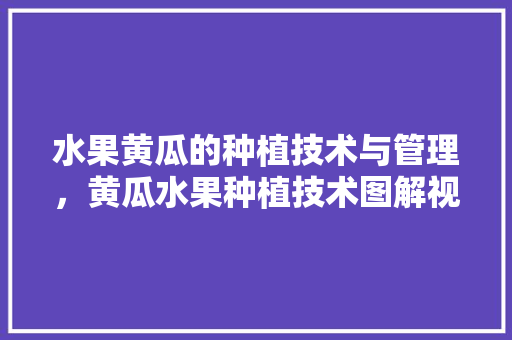 水果黄瓜的种植技术与管理，黄瓜水果种植技术图解视频。 水果黄瓜的种植技术与管理，黄瓜水果种植技术图解视频。 土壤施肥