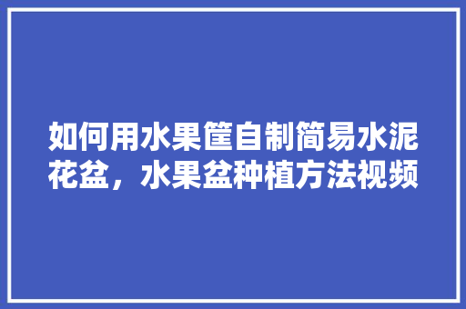 如何用水果筐自制简易水泥花盆，水果盆种植方法视频。 土壤施肥