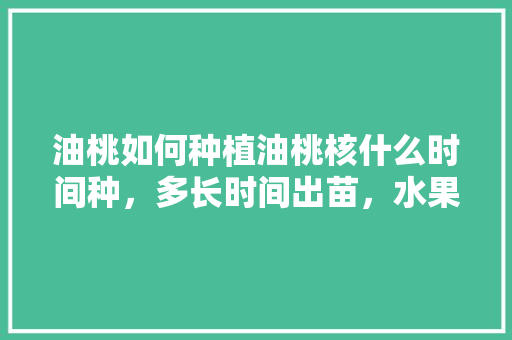 油桃如何种植油桃核什么时间种，多长时间出苗，水果油桃怎么种植方法视频。 蔬菜种植