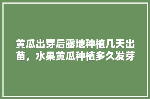 黄瓜出芽后露地种植几天出苗，水果黄瓜种植多久发芽出苗。 家禽养殖