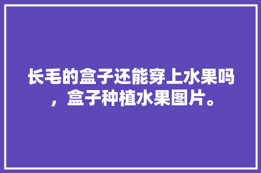 长毛的盒子还能穿上水果吗，盒子种植水果图片。 畜牧养殖