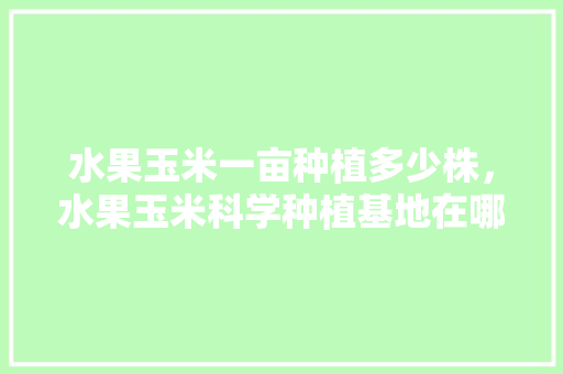 水果玉米一亩种植多少株，水果玉米科学种植基地在哪里。 畜牧养殖