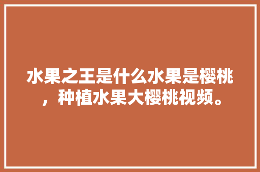 水果之王是什么水果是樱桃，种植水果大樱桃视频。 蔬菜种植