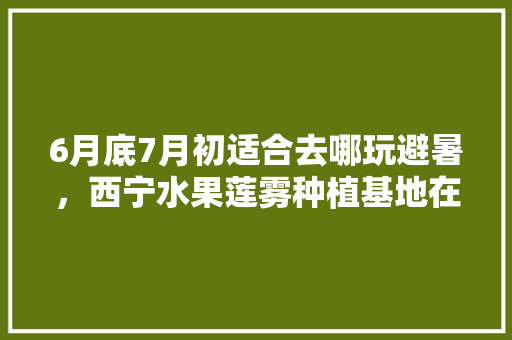 6月底7月初适合去哪玩避暑，西宁水果莲雾种植基地在哪里。 6月底7月初适合去哪玩避暑，西宁水果莲雾种植基地在哪里。 水果种植