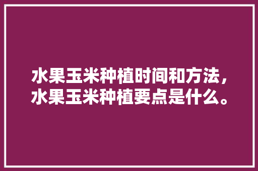 水果玉米种植时间和方法，水果玉米种植要点是什么。 水果种植