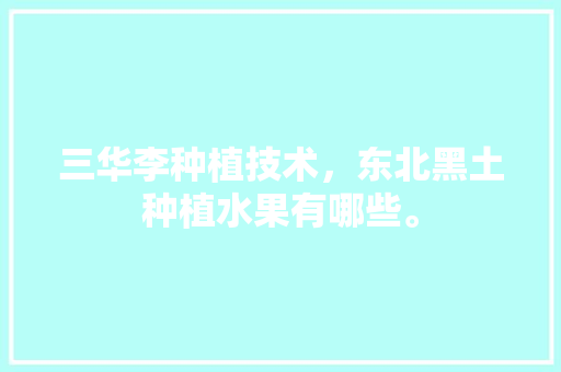 三华李种植技术，东北黑土种植水果有哪些。 三华李种植技术，东北黑土种植水果有哪些。 土壤施肥