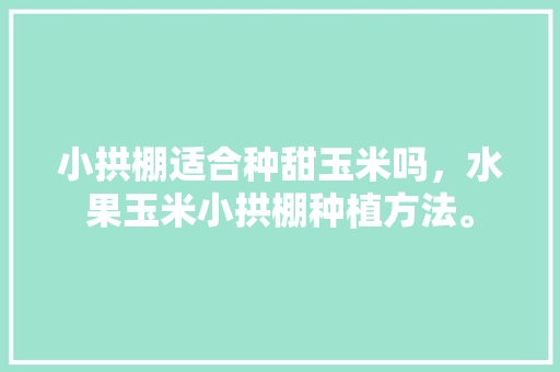 小拱棚适合种甜玉米吗，水果玉米小拱棚种植方法。 水果种植