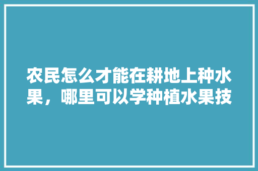 农民怎么才能在耕地上种水果，哪里可以学种植水果技术。 水果种植