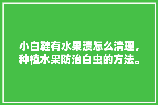 小白鞋有水果渍怎么清理，种植水果防治白虫的方法。 家禽养殖