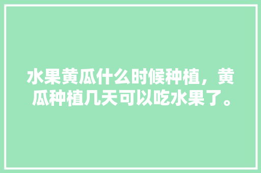 水果黄瓜什么时候种植，黄瓜种植几天可以吃水果了。 水果种植