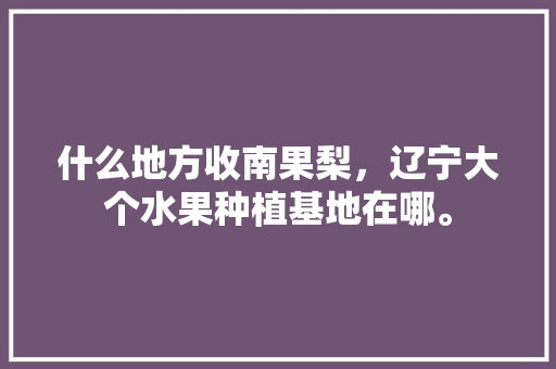 什么地方收南果梨，辽宁大个水果种植基地在哪。 什么地方收南果梨，辽宁大个水果种植基地在哪。 畜牧养殖