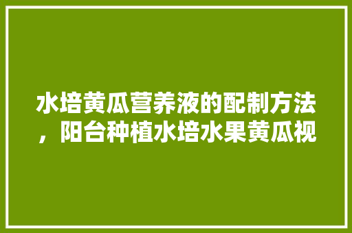 水培黄瓜营养液的配制方法，阳台种植水培水果黄瓜视频。 畜牧养殖