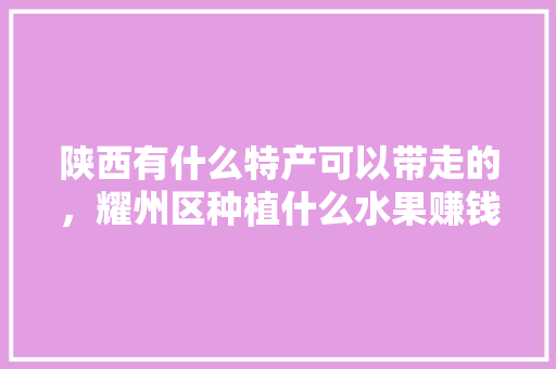 陕西有什么特产可以带走的，耀州区种植什么水果赚钱多。 陕西有什么特产可以带走的，耀州区种植什么水果赚钱多。 水果种植