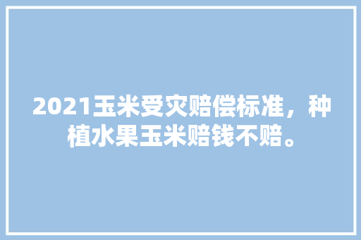 2021玉米受灾赔偿标准，种植水果玉米赔钱不赔。 蔬菜种植