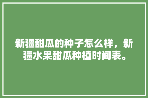 新疆甜瓜的种子怎么样，新疆水果甜瓜种植时间表。 水果种植