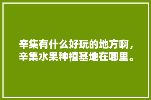 辛集有什么好玩的地方啊，辛集水果种植基地在哪里。 辛集有什么好玩的地方啊，辛集水果种植基地在哪里。 土壤施肥