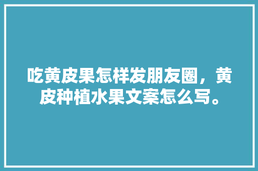 吃黄皮果怎样发朋友圈，黄皮种植水果文案怎么写。 家禽养殖