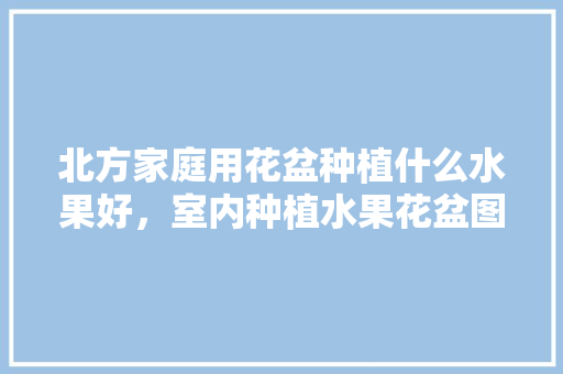 北方家庭用花盆种植什么水果好，室内种植水果花盆图片。 土壤施肥