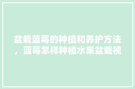 盆栽蓝莓的种植和养护方法，蓝莓怎样种植水果盆栽视频。 畜牧养殖