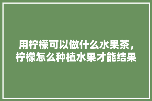 用柠檬可以做什么水果茶，柠檬怎么种植水果才能结果。 土壤施肥