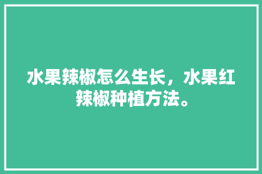 水果辣椒怎么生长，水果红辣椒种植方法。 蔬菜种植