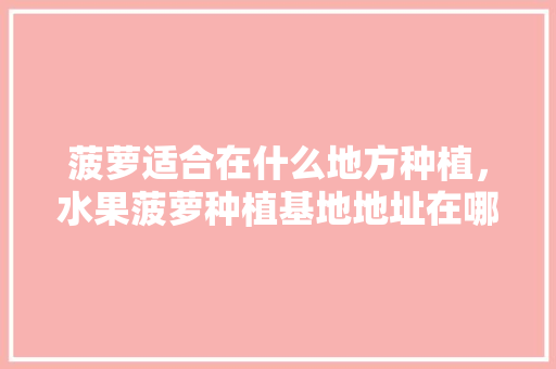 菠萝适合在什么地方种植，水果菠萝种植基地地址在哪里。 水果种植