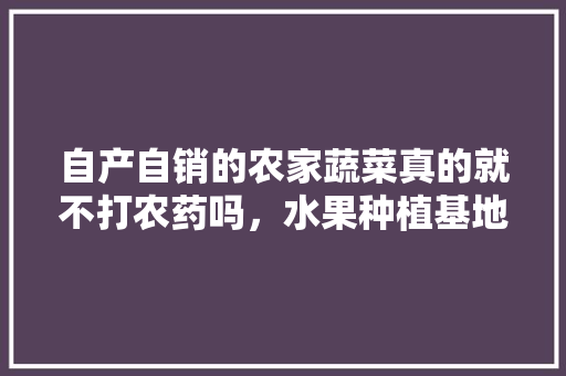 自产自销的农家蔬菜真的就不打农药吗，水果种植基地无农药怎么办。 自产自销的农家蔬菜真的就不打农药吗，水果种植基地无农药怎么办。 家禽养殖