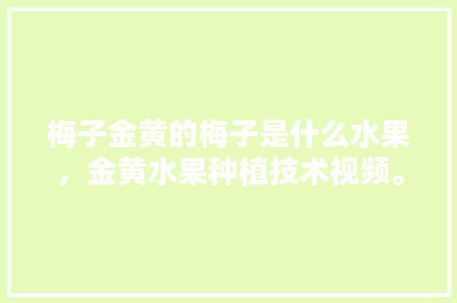 梅子金黄的梅子是什么水果，金黄水果种植技术视频。 土壤施肥