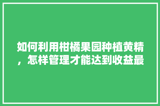 如何利用柑橘果园种植黄精，怎样管理才能达到收益最大化，橘子有机水果种植技术视频。 畜牧养殖