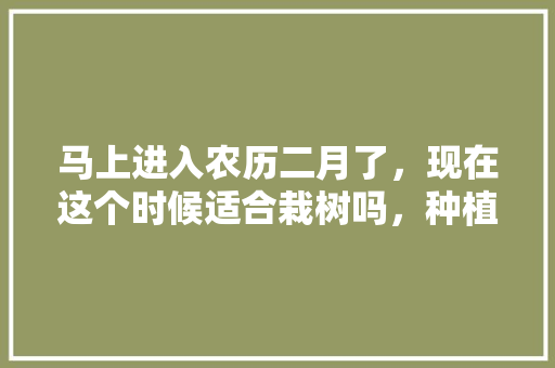 马上进入农历二月了，现在这个时候适合栽树吗，种植水果或者树苗的作文。 家禽养殖